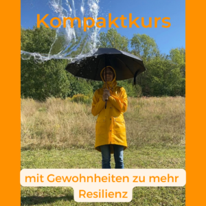 Kompaktkurs Gewohnheiten Resileinz