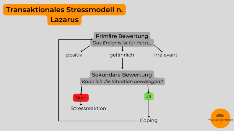 Stressbewältigung Lazarus Coping
